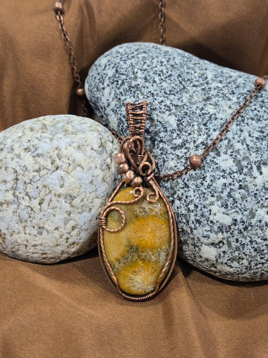 Coral Fossil