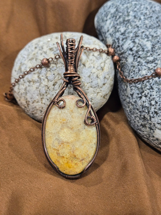 Coral Fossil