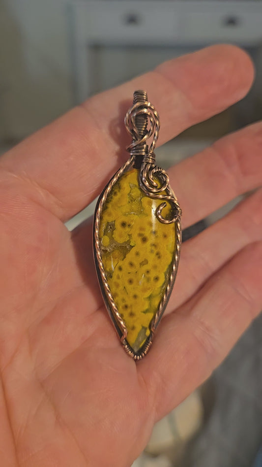 Orbicular Jasper with a druzy sparkle.  So pretty!
