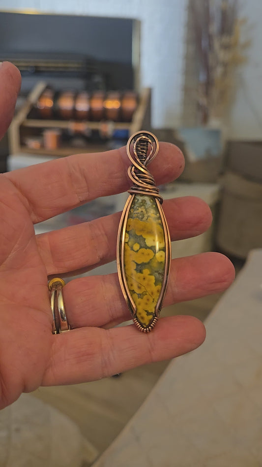 Orbicular Jasper in Antiqued Copper Wire