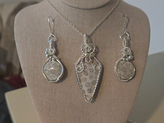 Coral Fossil Set